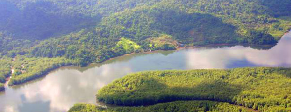 Finca Florida is a property of over 900 hectares located on the Rio Sierpe at the north side of the Osa Peninsula.